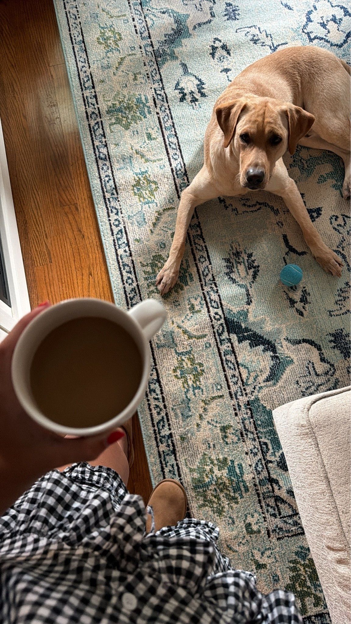 beautiful rug on prime!!! #amazonprime #amazonfinds

#LTKSeasonal #LTKHome #LTKmorningroutine
