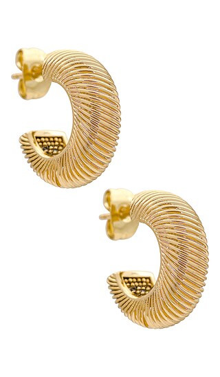 Clementine Hoops in Gold | Revolve Clothing (Global)