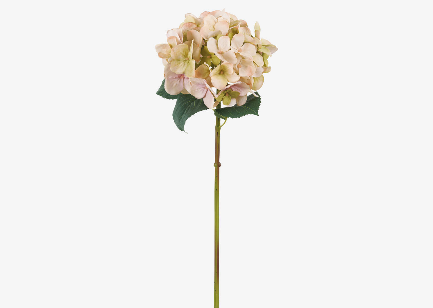 Gretel Hydrangea Stem Pink | Urban Barn