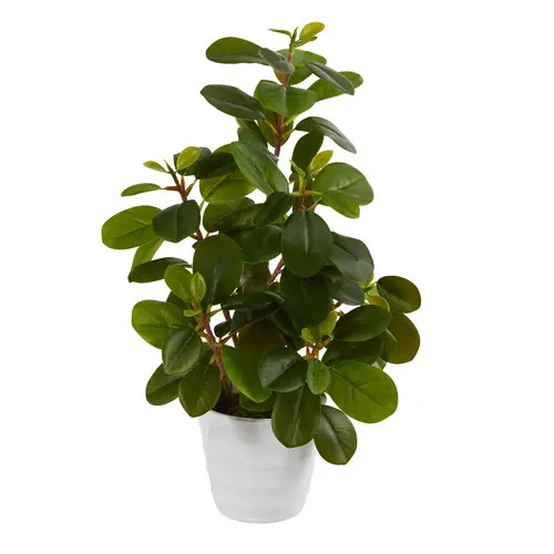 NEARLY NATURAL 16-in Peperomia Artificial Plant in Decorative Planter in Green at Nordstrom | Nordstrom