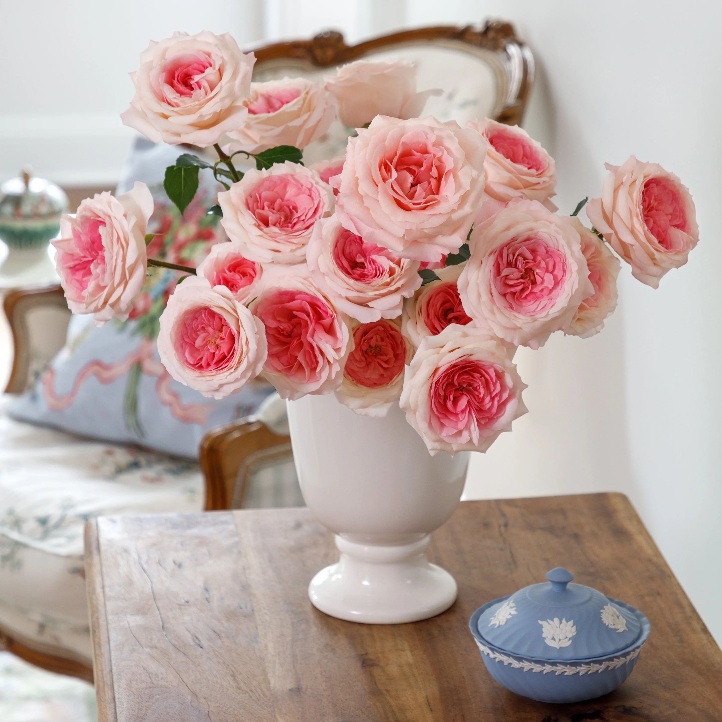 Mayra's Bridal Pink | grace rose farm