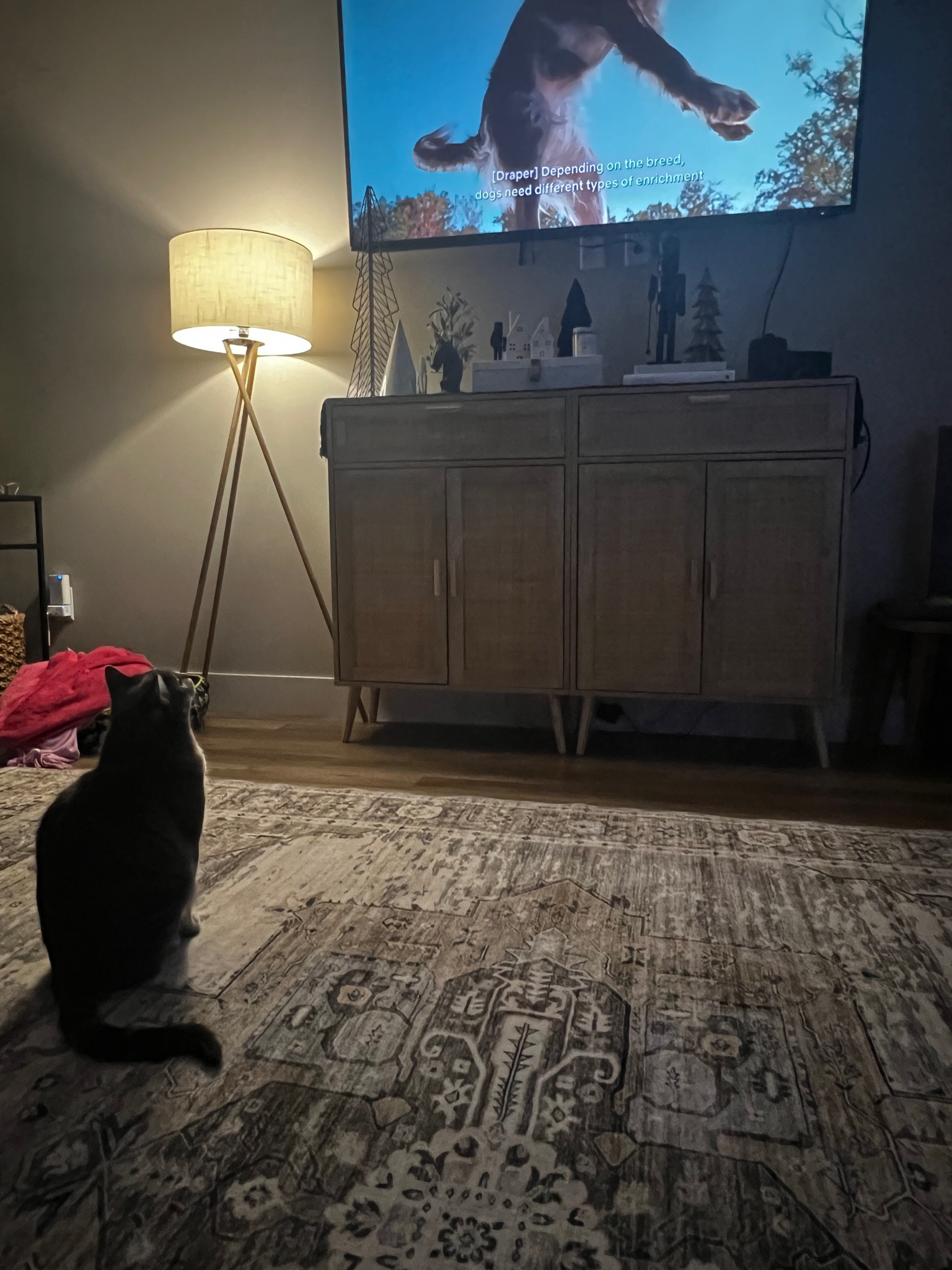 Mando watching a movie 

#LTKSeasonal #LTKStyleTip #LTKWatchNow