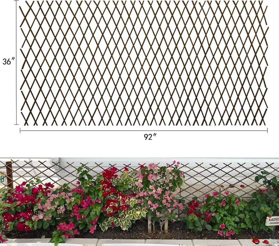Expandable Garden Trellis Plant Support Willow Lattice Fence Panel for Climbing Plants Vine Ivy R... | Amazon (US)