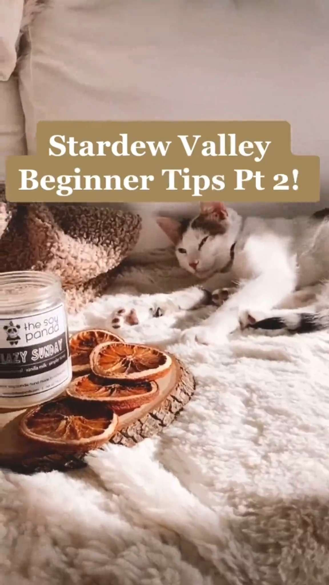more stardew valley beginner tips! 🤎the traveling cart saves my butt every time 😂 #nintendo #nintendoswitch #switch #switch2 #cozygaming #cozygames #gaming #games 

 #LTKstorytime #LTKHome