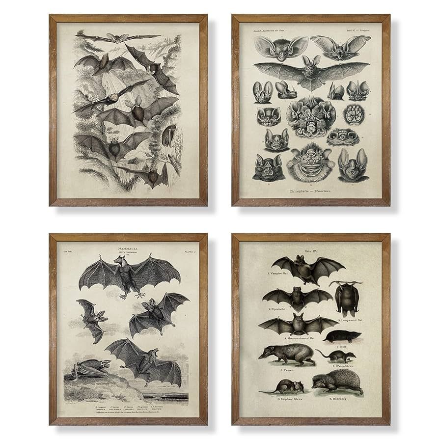 Bat Wall Decor - Creepy Gothic Wall Art - 8x10 Unframed Goth Decor - Gifts for Vampire Horror Fan... | Amazon (US)