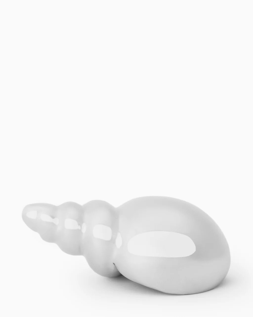 Tulip Shell | McGee & Co.