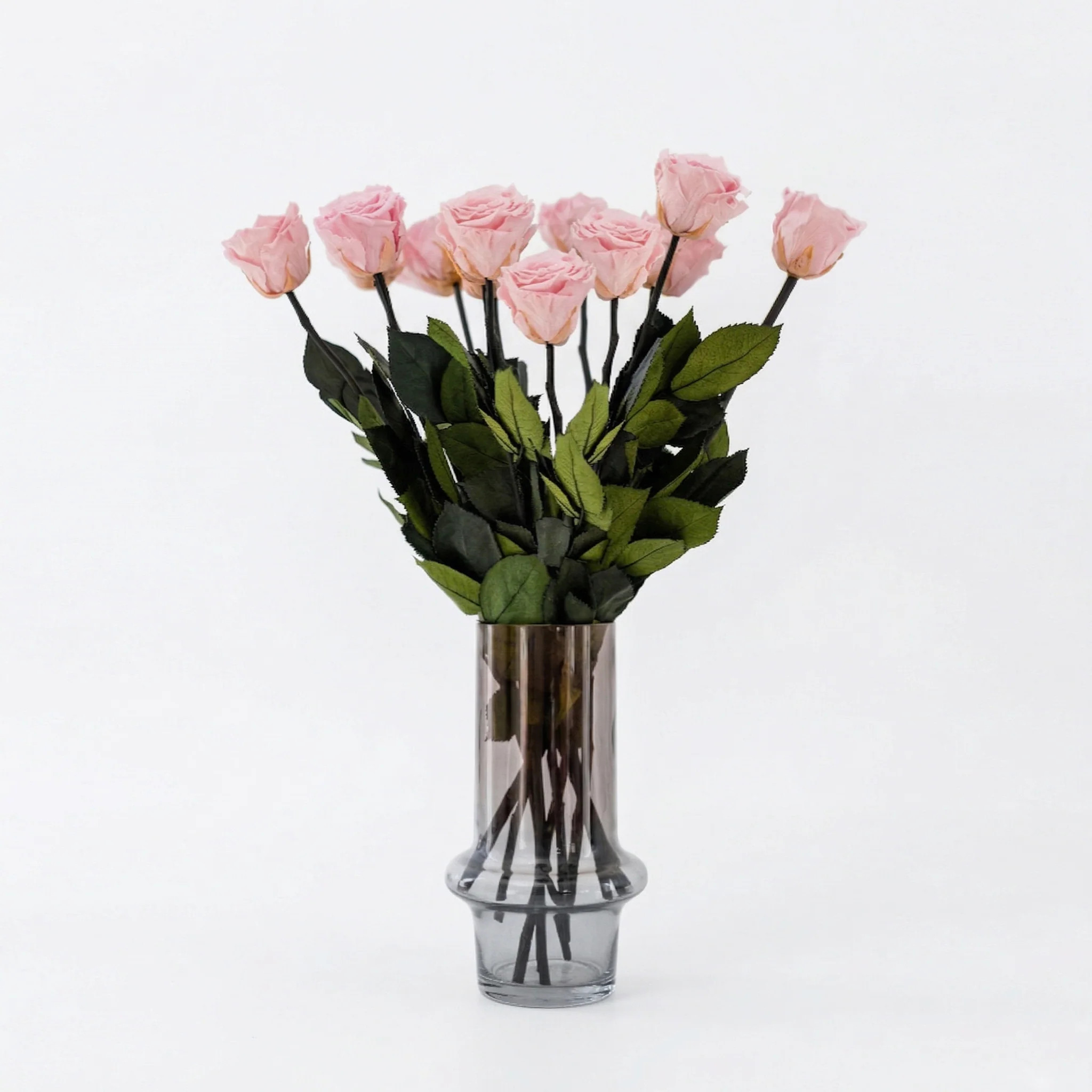 Long Stem Roses | Light Pink Roses | The Million Roses