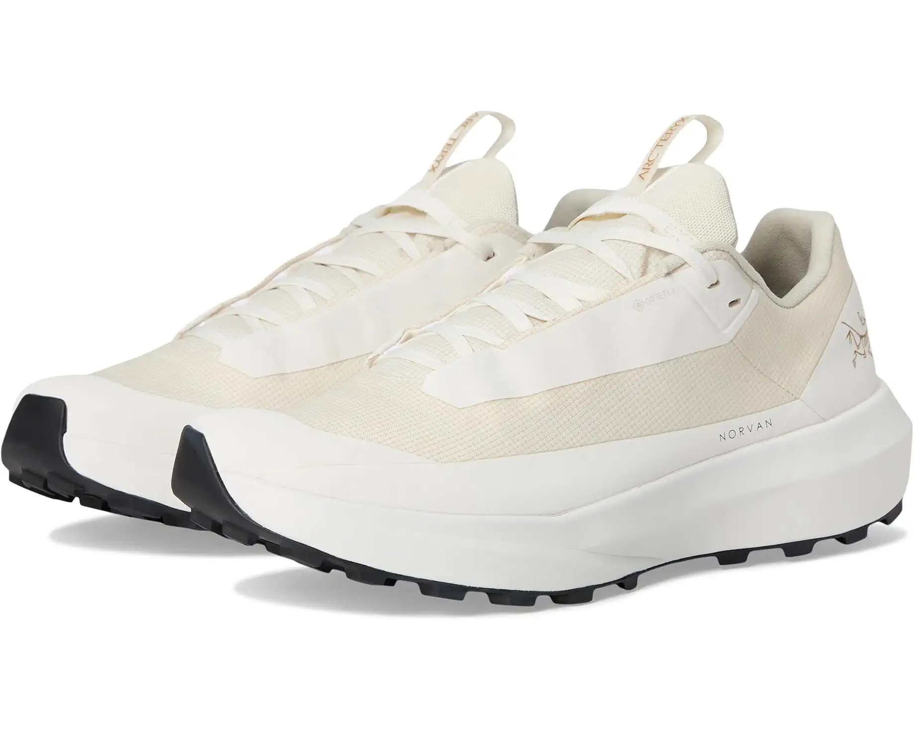 Women's Arc'teryx Norvan LD 4 GTX | Zappos.com