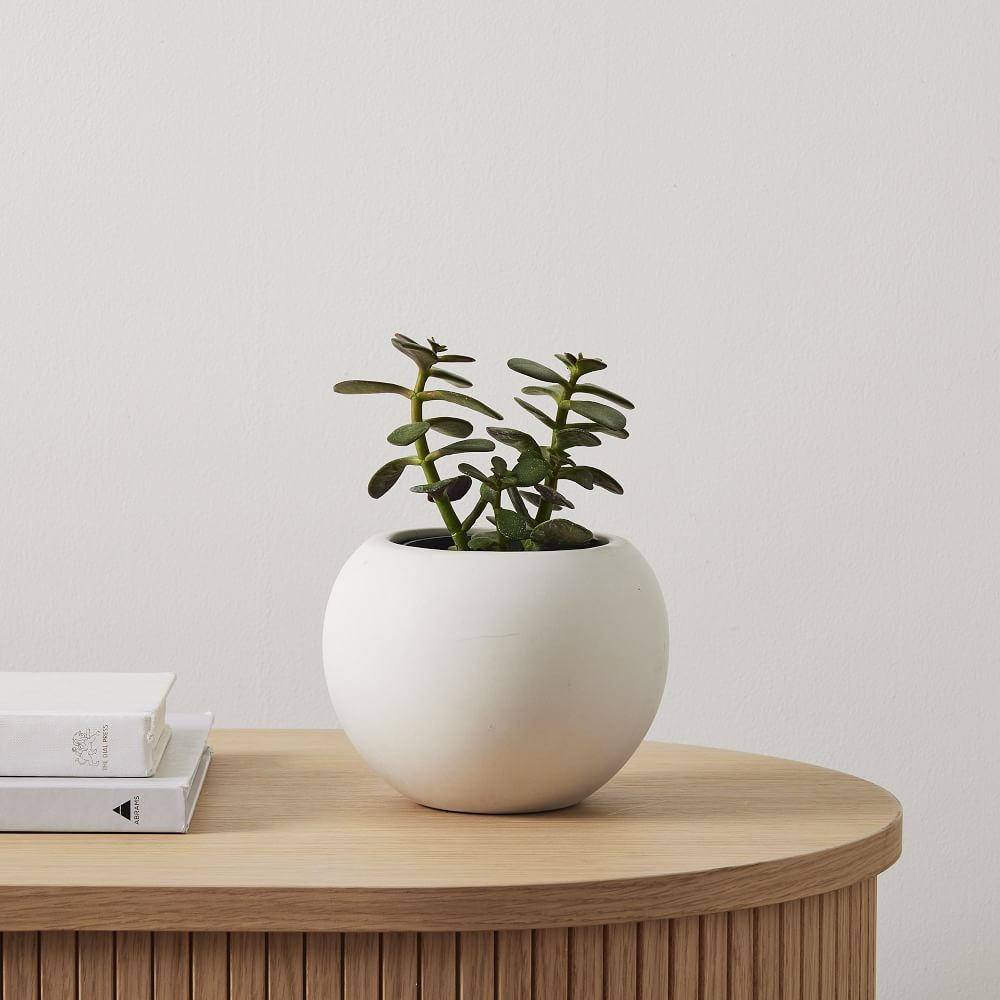 Benton Ceramic Planter Extra Small, Textured White | West Elm (US)