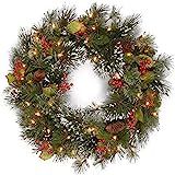 National Tree Company Pre-Lit Artificial Christmas Wreath, Green, Wintry Pine, White Lights, Deco... | Amazon (US)