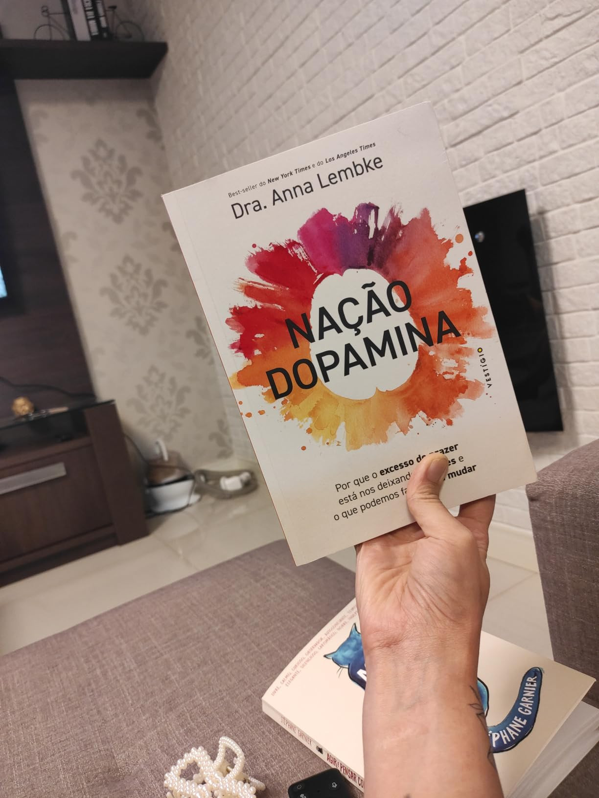 Nação dopamina: Por que o excesso de prazer está nos deixando infelizes e o que podemos fazer ... | Amazon (BR)