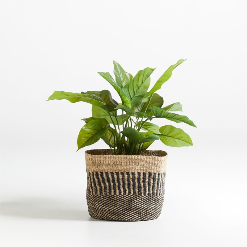 27" Faux Large Leaf Philodendron Plant + Reviews | Crate and Barrel | Crate & Barrel