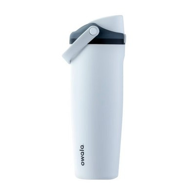 Owala 30oz FreeSip SWAY Stainless Steel Water Bottle  - Sleek | eBay US
