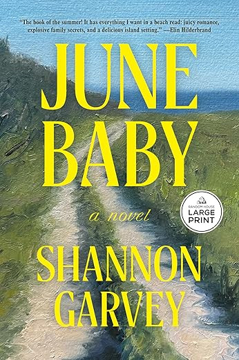 June Baby: A Novel (Thousand Voices)      Paperback – Large Print, May 12, 2026 | Amazon (US)