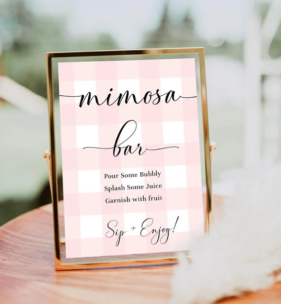 Mimosa Bar Sign and Juice Tags Pink Gingham Girl Baby Shower - Etsy | Etsy (US)