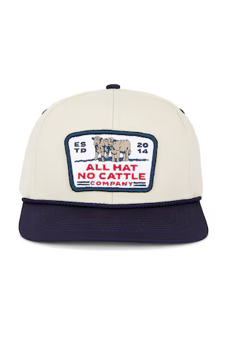 Sendero Provisions Co. All Hat No Cattle Hat in White from Revolve.com | Revolve Clothing (Global)