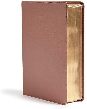 CSB She Reads Truth Bible, Rose Gold LeatherTouch, Black Letter, Full-Color Design, Notetaking Space | Amazon (US)