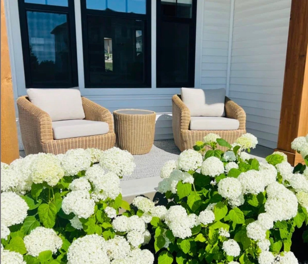 Outdoor swivel chairs 

#outdoor #furniture #chairs #swivelchairs #wayfair

#LTKHome #LTKSaleAlert