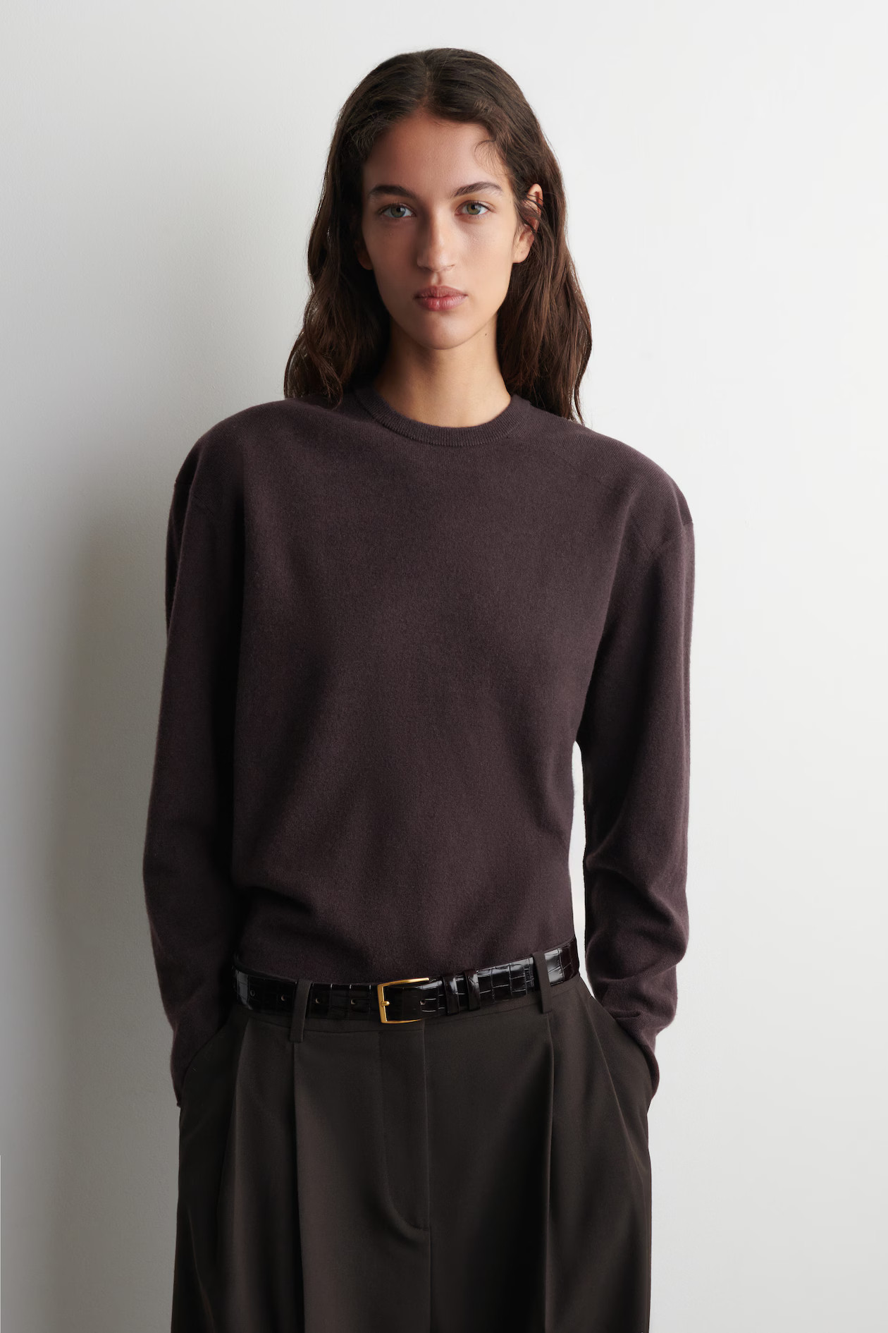 MERINO WOOL CREW-NECK SWEATER - DARK BROWN | COS US | COS (US)