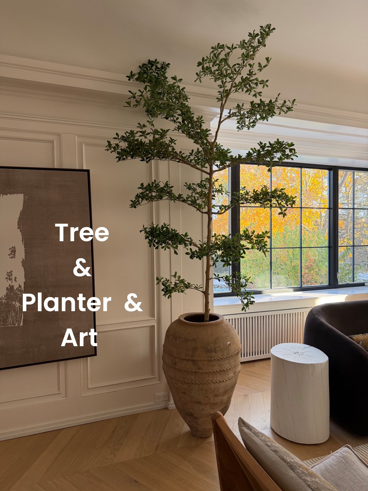 Tree and planter 

#LTKHome #LTKGiftGuide #LTKCyberWeek