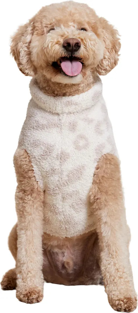 CozyChic™ Leopard Dog Sweater | Nordstrom
