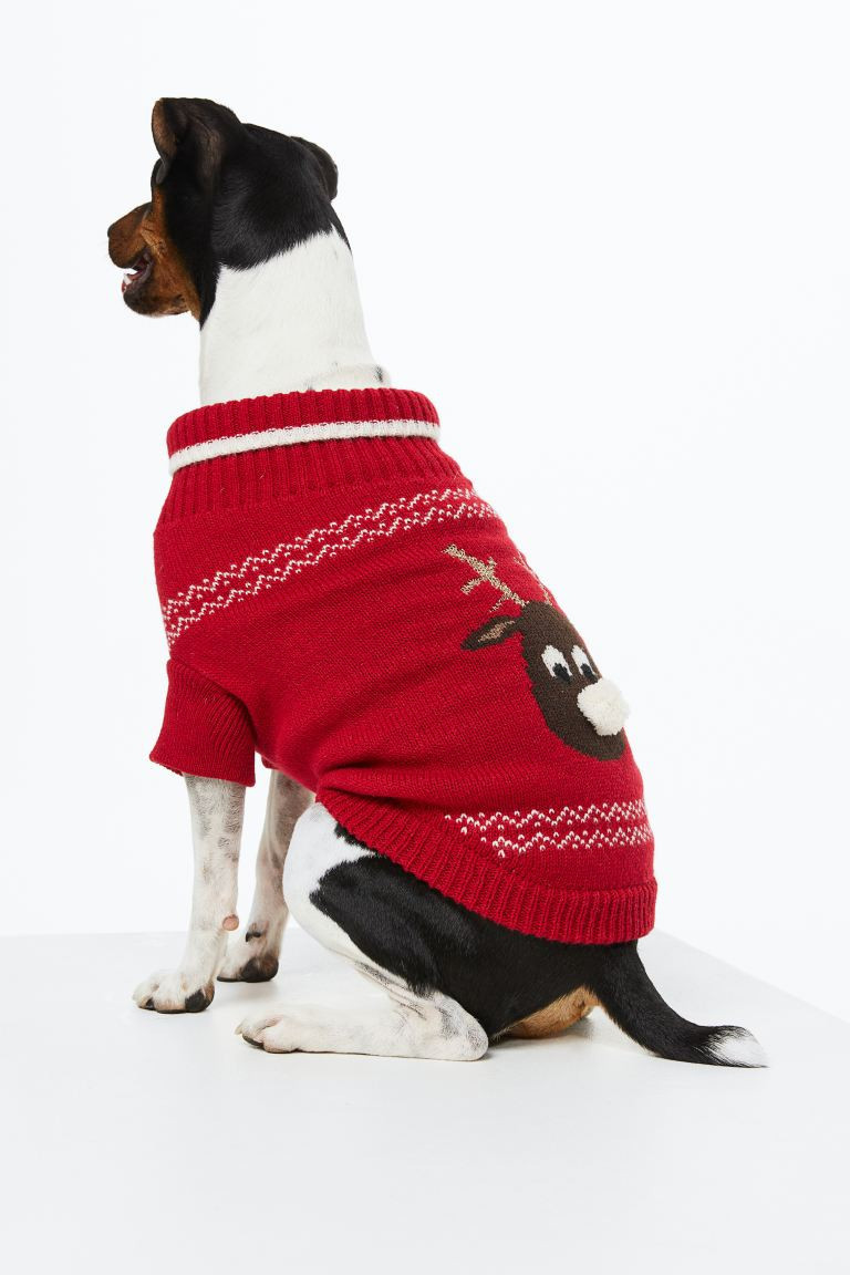 Jacquard-knit Dog Sweater | H&M (US + CA)