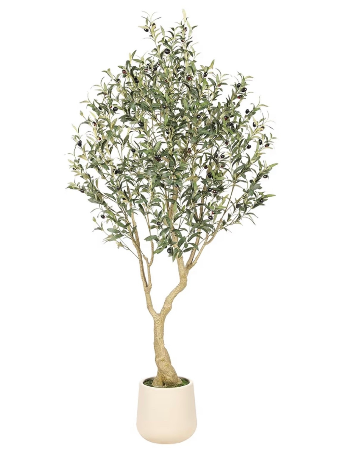 Gorgeous Olive tree on Amazon for Black Friday 

#LTKHoliday #LTKSaleAlert #LTKHome