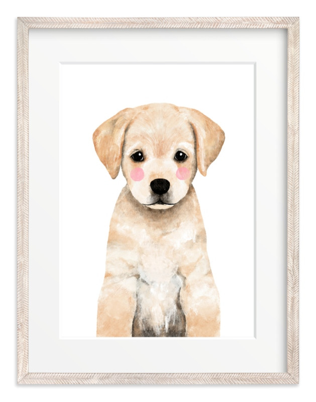 Baby Labrador | Minted
