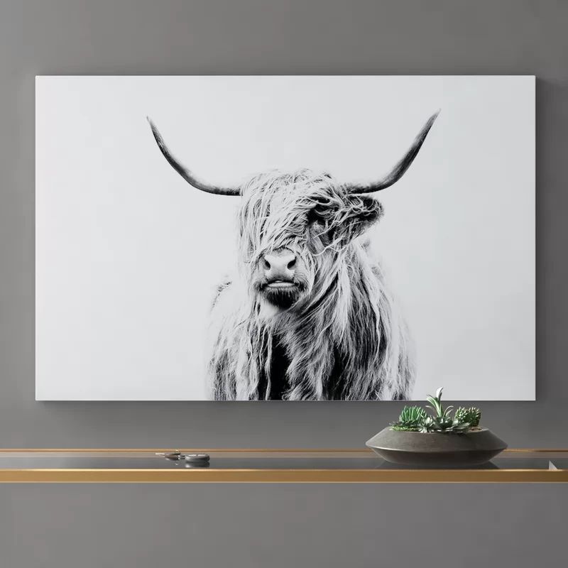 'Portrait of a Highland Cow' - Photograph Print | Wayfair North America