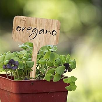 HOMENOTE 60pcs Bamboo Plant Labels (6 x 10 cm) with Bonus a Pen Vegetable Garden Markers T-Type Plan | Amazon (US)