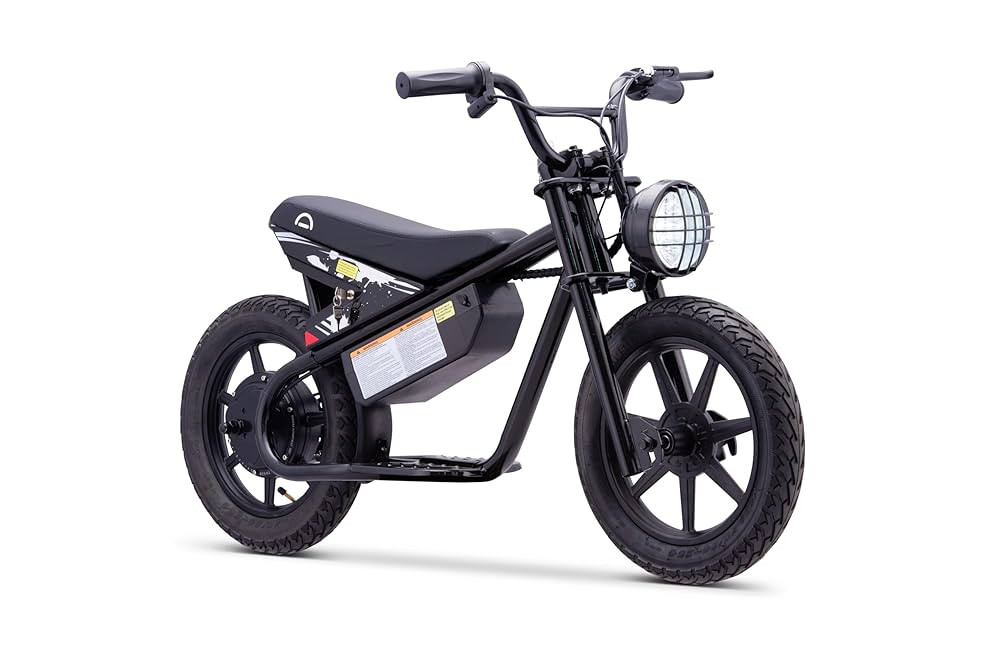 Droyd Weeler Electric Mini Bike for Kids, 200W Motor w 2 Speed Settings (10 Mph & 6 Mph), 24V 8Ah... | Amazon (US)