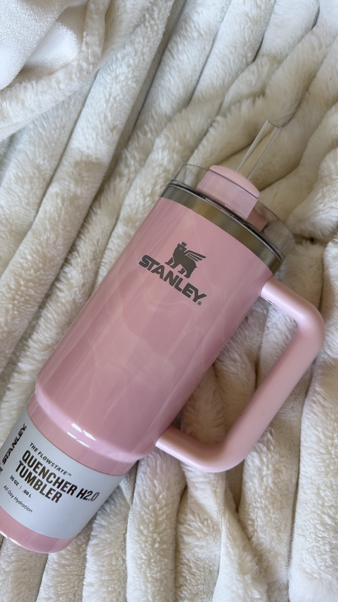 Stanley cup @Target 🎀

#LTKselfcare