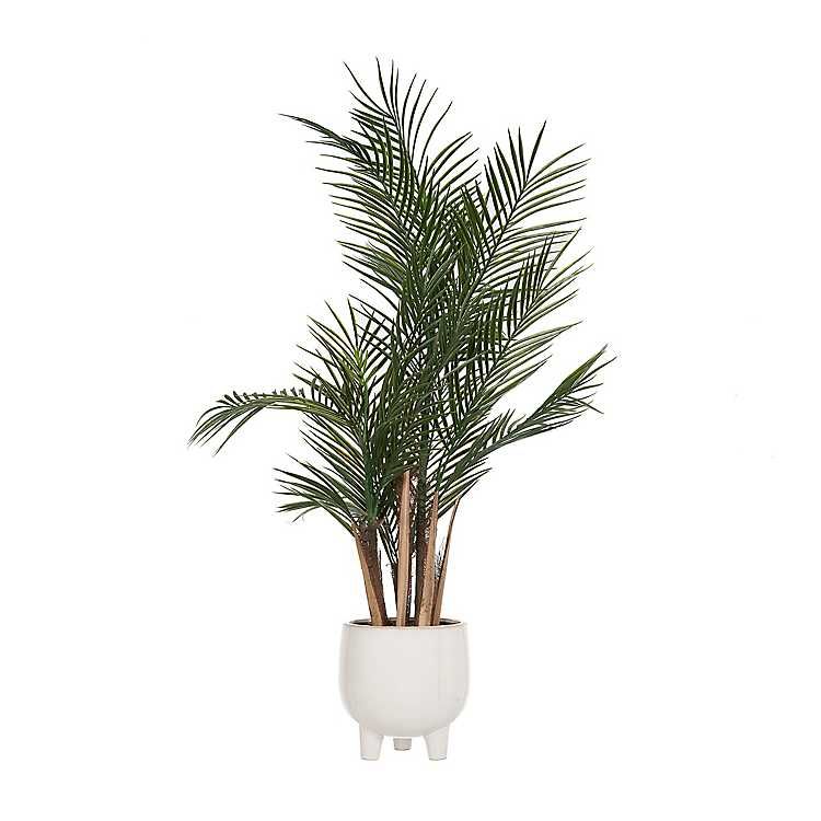 Areca Palm in White Footed Planter | Kirkland's Home