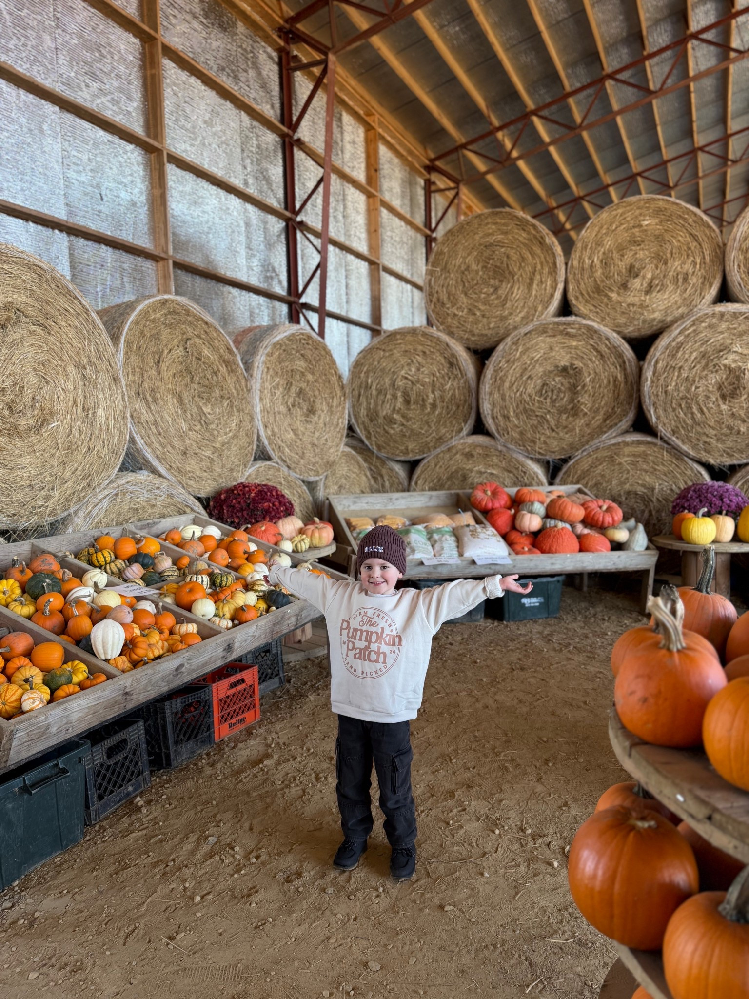 Cutest pumpkin patch sweatshirt!!!! Also these jeans are perfect in length and the waist!!! 

#LTKKids #LTKFindsUnder50 #LTKSeasonal