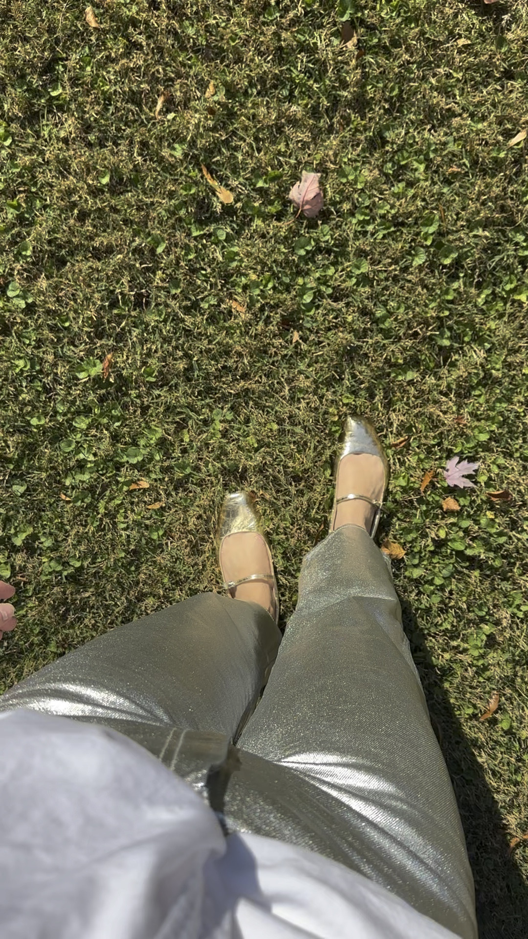 Party pants. These are old but I linked similar  

#LTKSeasonal #LTKParties