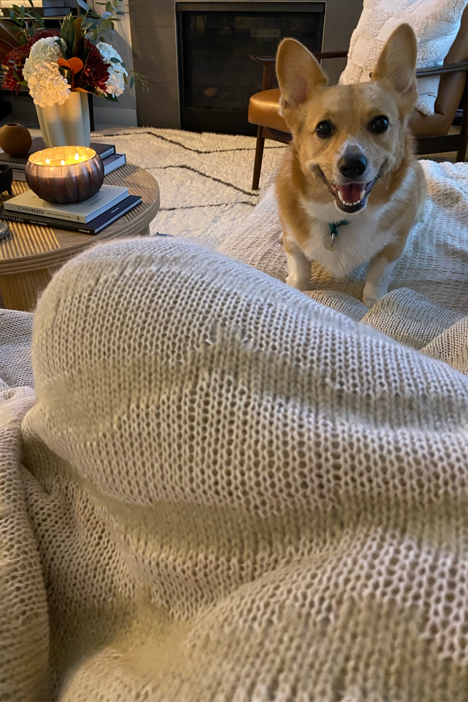 Mila and I are loving our NEW throw! Feels like your softest sweater and perfect neutral print to transition through the seasons. P.S.- it’s NOW under $60! Would be a perfect gift, paired with a yummy candle. #falldecor #throwblanket 

#LTKGiftGuide #LTKHolidaySale #LTKSeasonal