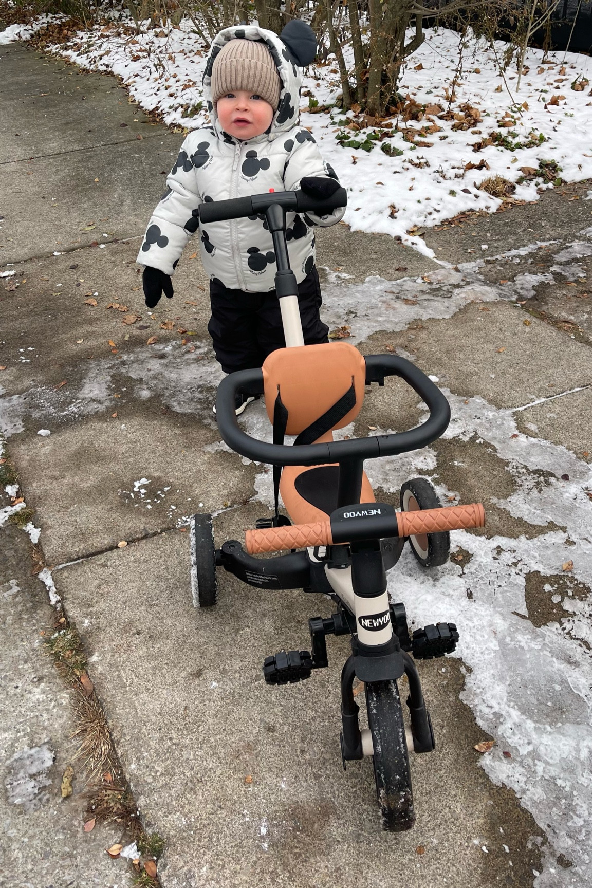 The best gift for one year olds / you g toddlers! Have had this since he turned 1 and use it every day. 

#LTKBaby #LTKGiftGuide #LTKKids