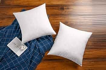 JA COMFORTS 20×20 Premium Goose Down Feather Throw Pillow Inserts(Set of 2)-5% Down Filling,High... | Amazon (CA)
