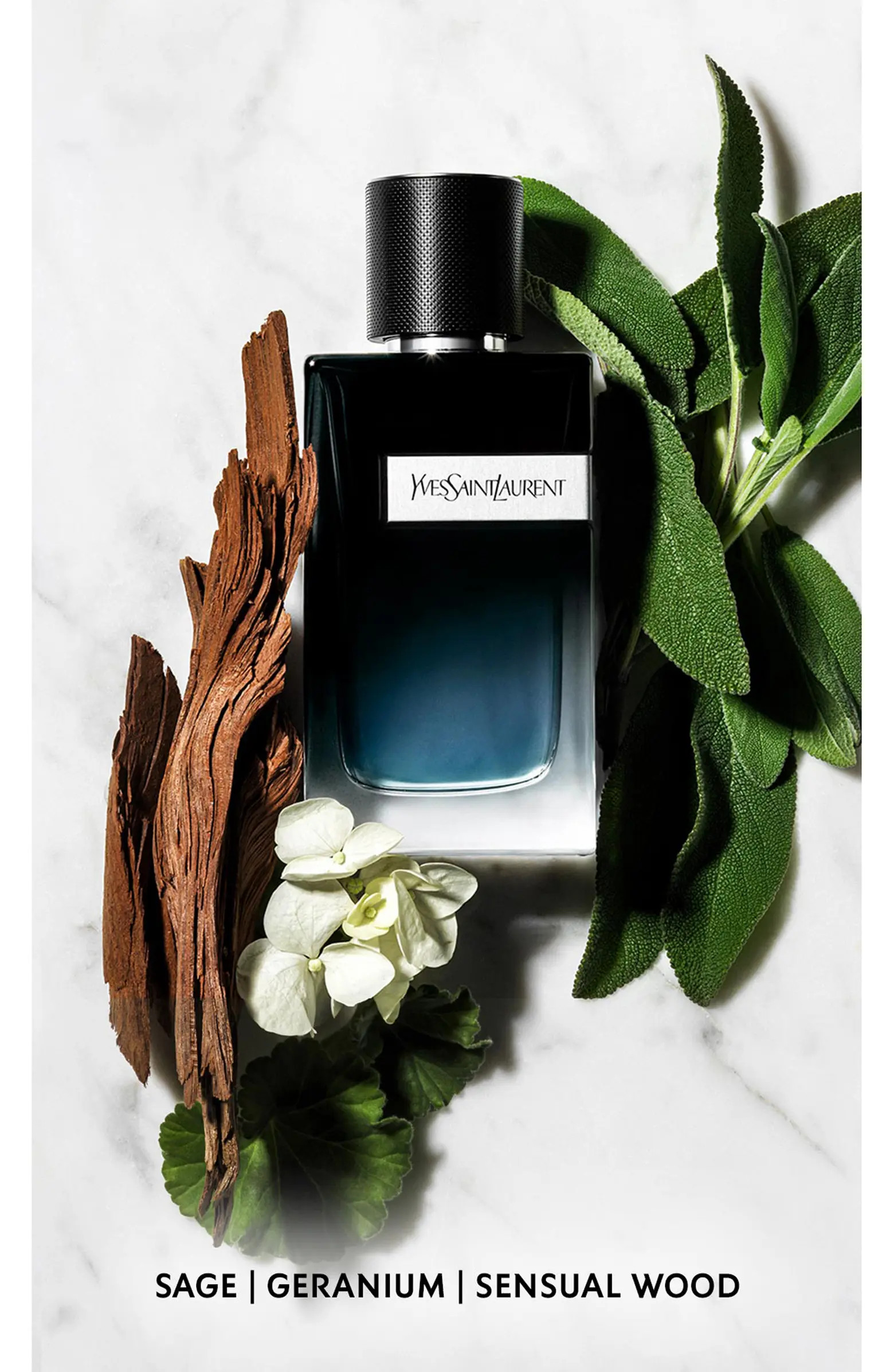 Y Eau de Parfum | Nordstrom