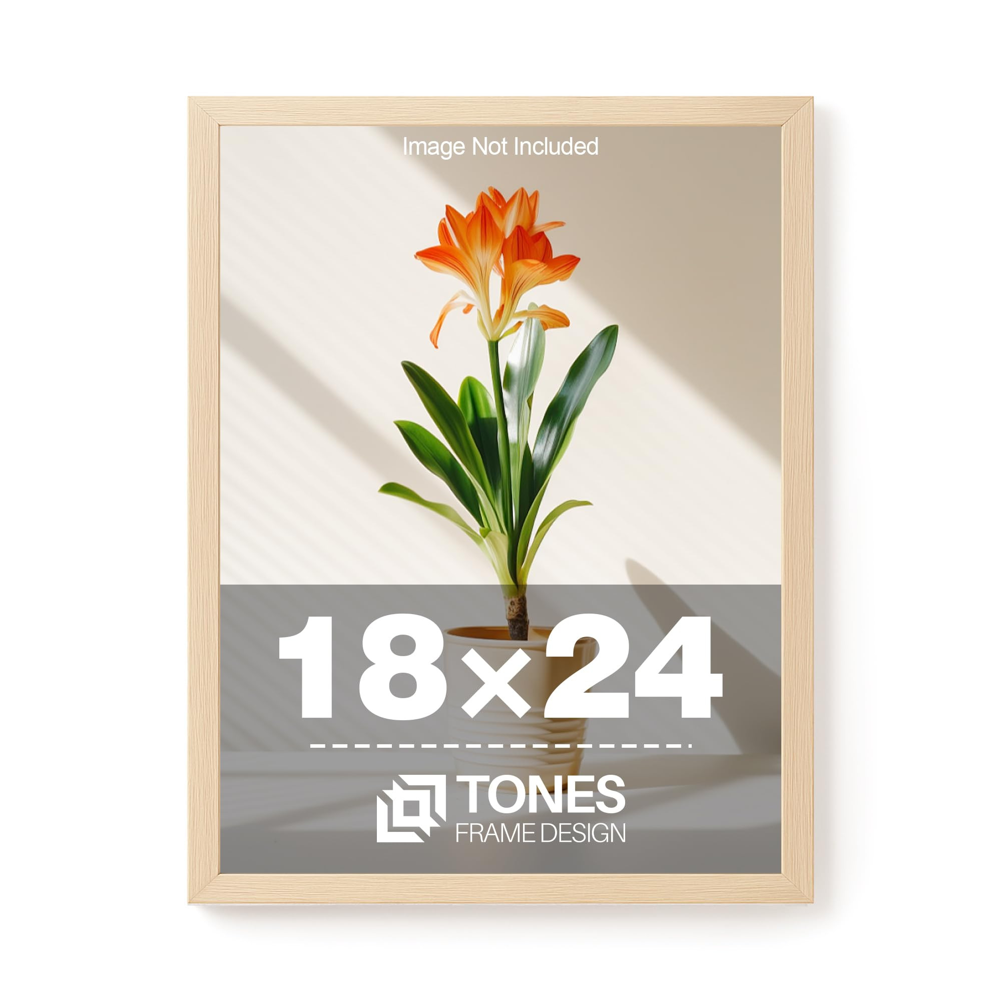18x24 Frame Natural Solid Wood Veneer 18 x 24 Poster Frame with Shatterproof Plexiglass, Wall Han... | Amazon (US)