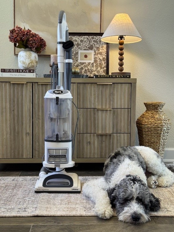 Shark Upright Vacuum for your Fall reset🍂 

#LTKHome #LTKSeasonal