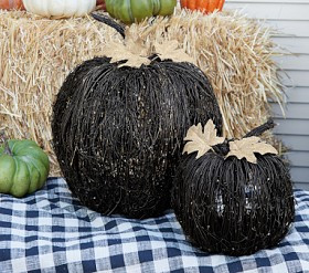 Black Vine Light-Up Pumpkins, Set of 2 | Pottery Barn Kids