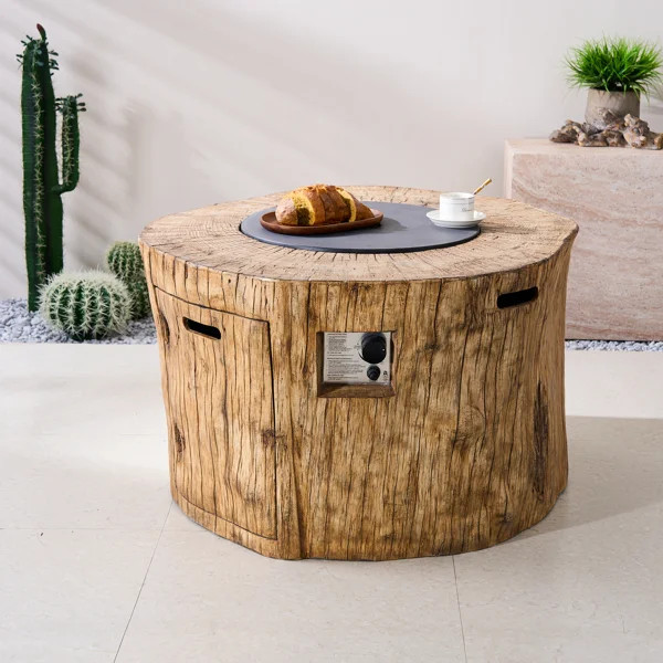 Demetrius Round Inorganic Mineral Powders Propane Smokeless Fire Pit Table with Hidden Fuel Tank | Wayfair North America