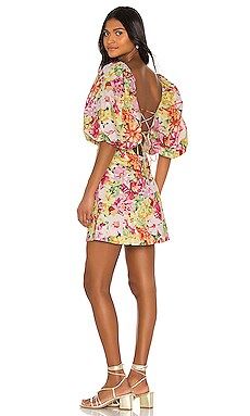 LPA Samantha Dress in Amali Floral from Revolve.com | Revolve Clothing (Global)