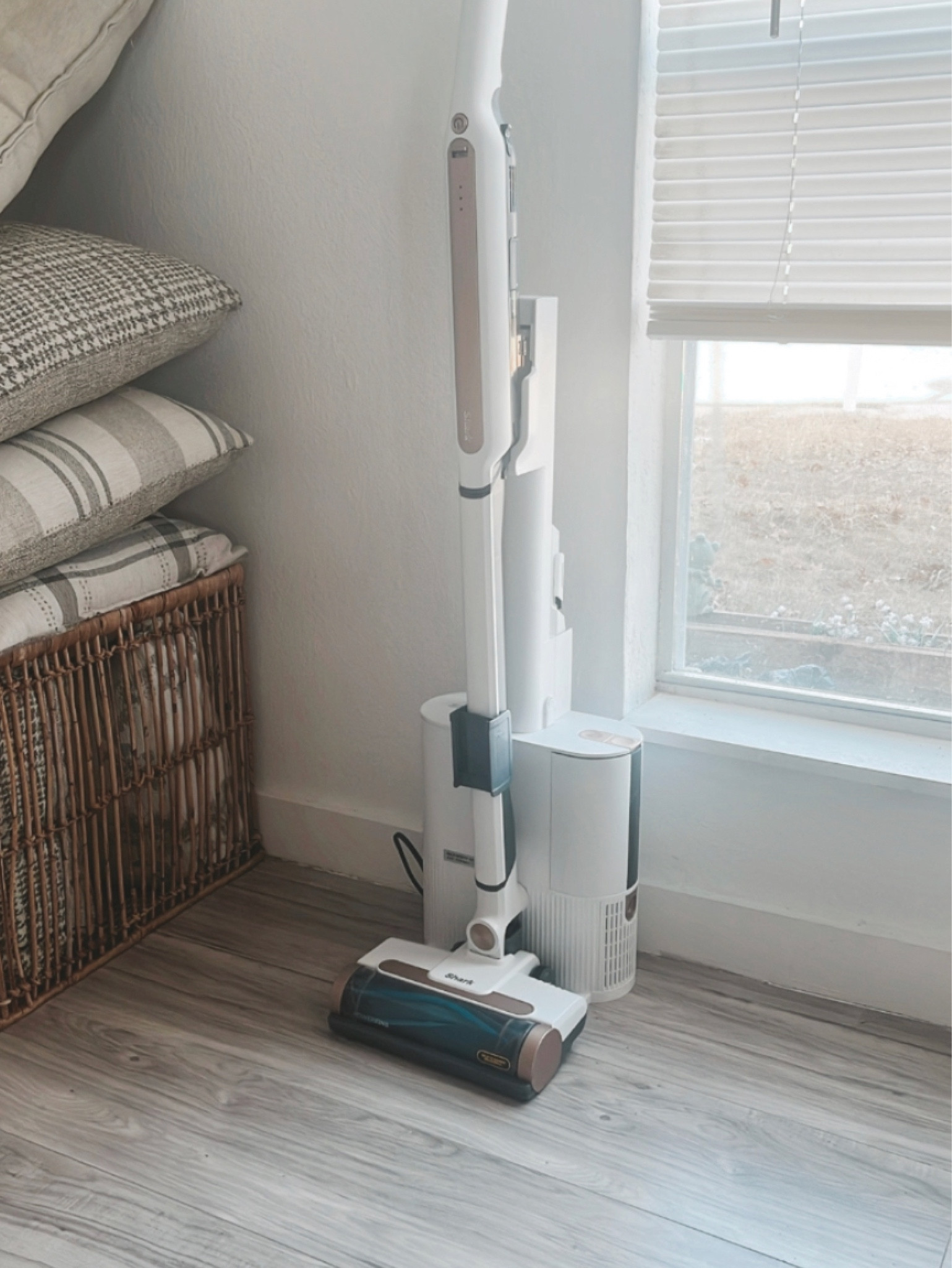 My go to shark vacuum! 2 in 1!

#LTKFind #LTKfamily #LTKhome