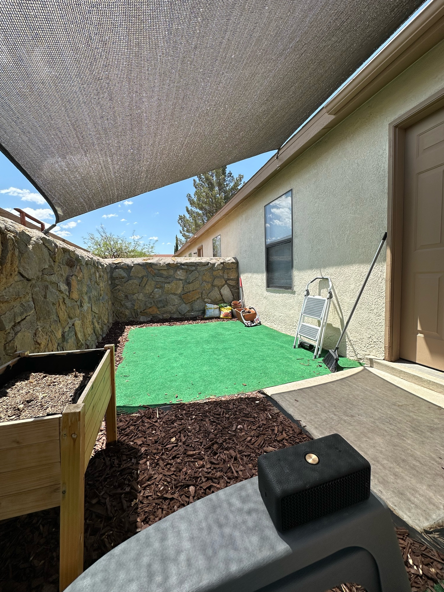 Backyard Finds 

#LTKHome #LTKFamily #LTKU