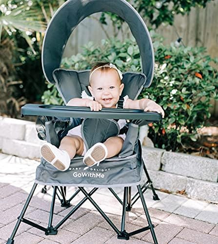 Baby Delight Go with Me Venture Chair|Indoor/Outdoor Portable Chair with Sun Canopy|Gray|3 Child ... | Amazon (US)