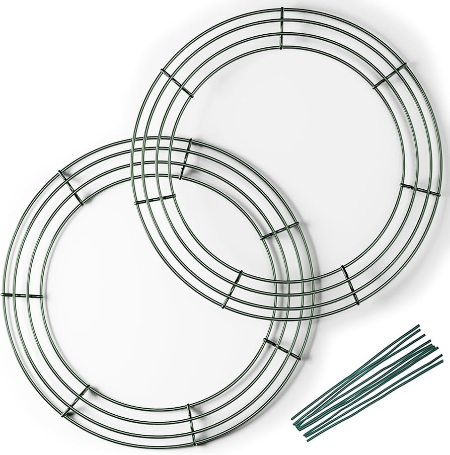 2-Pack 14 Inch Wire Wreath Frame – Round Metal Wreath Form with Ring Design for DIY Crafts, Flo... | Amazon (US)