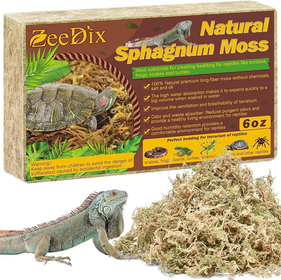 ZeeDix 6 OZ Long Fiber Sphagnum Moss for Reptiles, 8QT Natural Dried Terrarium Reptile Moss Beddi... | Amazon (US)