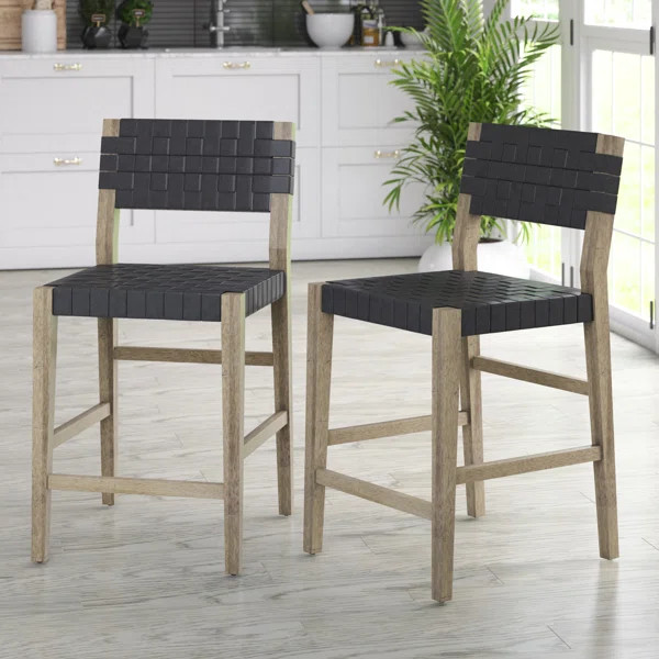 Roni Upholstered Counter Stool (Set of 2) | Wayfair North America